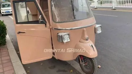 High Quality Electric Three Wheel Scooter Food Truck for Coffee